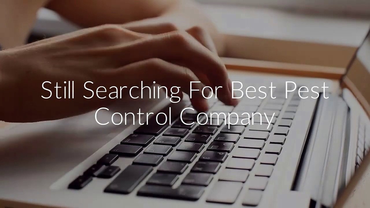 Pest Defense Solutions : Pest Control Oklahoma City, OK