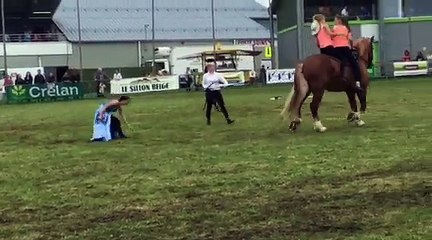 La Meuse-Luxembourg - Foire de Libramont 2016 - Démonstration de voltige Fly Away