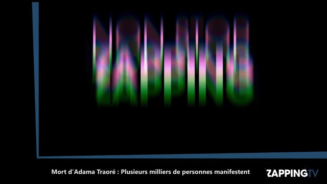 Mort d'Adama Traoré : Plusieurs milliers de personnes manifestent à Beaumont-sur-Oise (Vidéo)