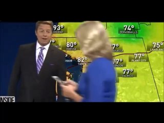 Meteorologist Get Interrupted on TV By Reporter Playing Pokemon Go