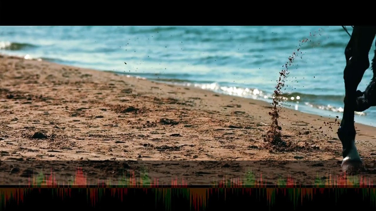 Turgay Saka - Seve Seve ( Official Video )
