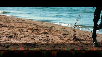 Turgay Saka - Seve Seve ( Official Video )