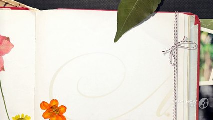 Beko Washing Machine Hinge