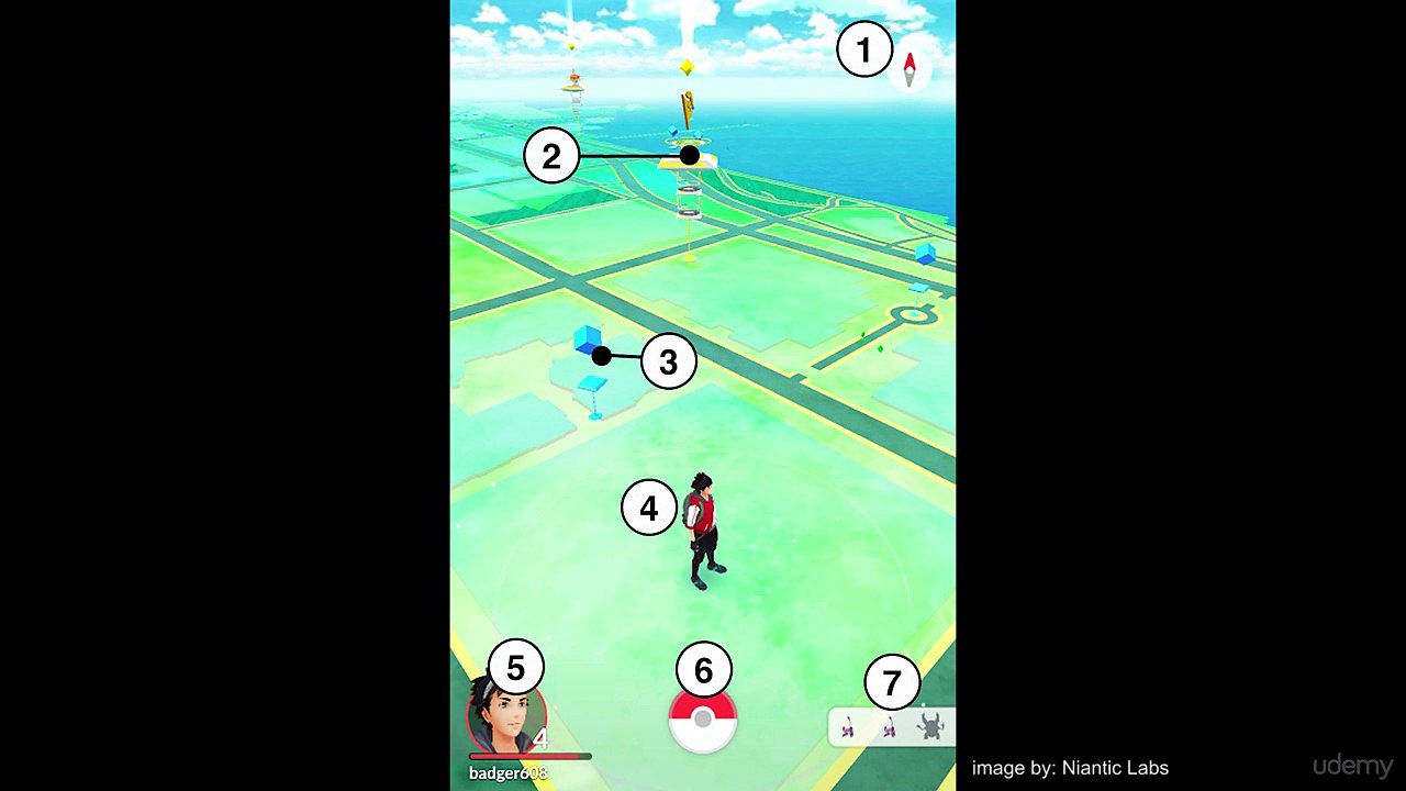 Start Catching Pokemon (3)