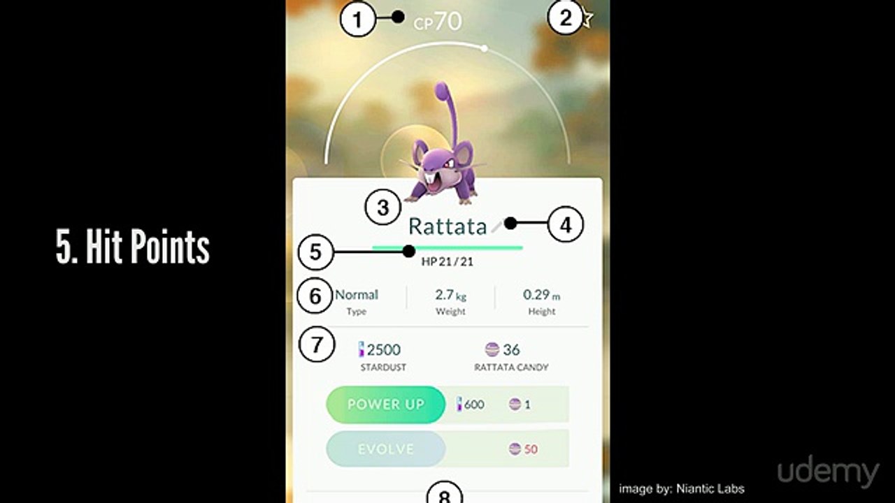 Extreme Tips & Tricks (1)