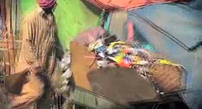 Karachi-s garbage could not be removed despite CM ultimatum