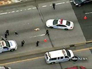 Amazing dog video - dog saves a friend dog on highway