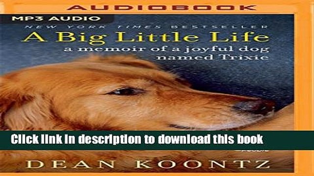 a big little life a memoir of a joyful dog