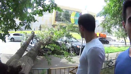 РАЗБИЛ УРАЛ. ДЕРЕВО УПАЛО НА МАШИНУ. Мой День Рождения!