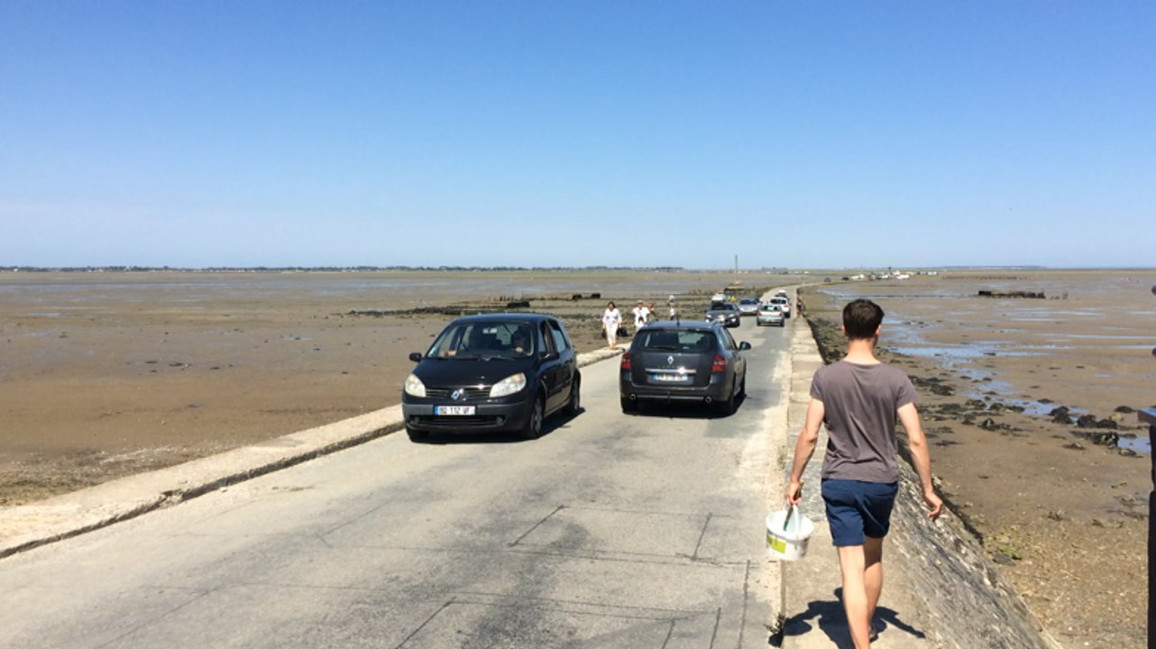 Carte postale de Noirmoutier