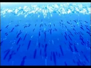 onepiece pirate carnival l'intro