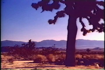 MADONNA Don't Tell Me DWT Backdrop 2001