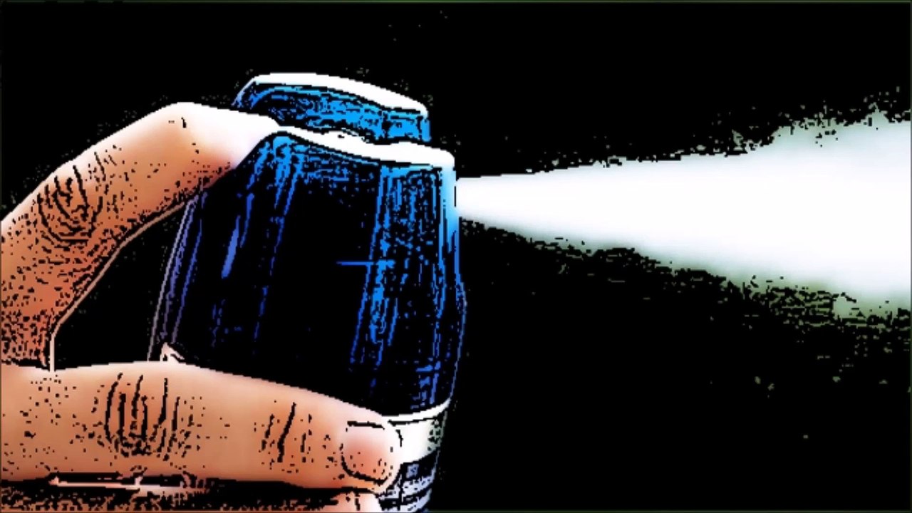 Bug Spray Sound Effect