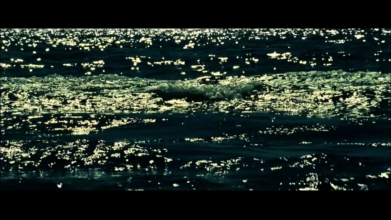 Ucp berlin - fish school (original version)