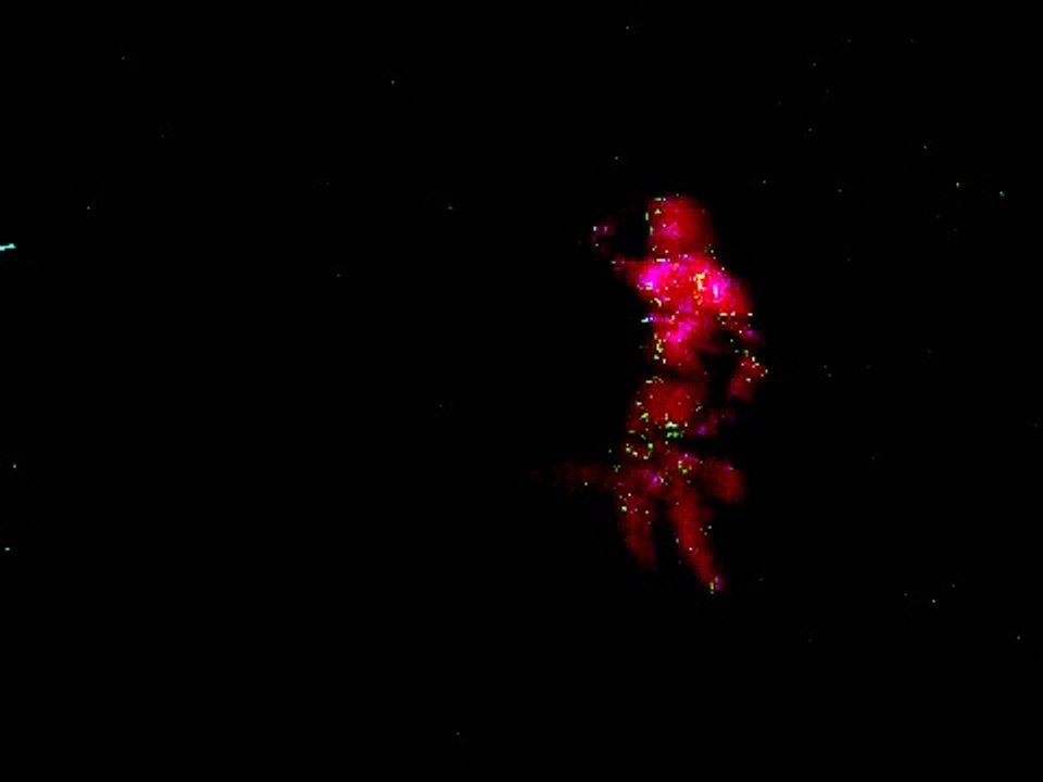 3/29 DANCEHALL QUEEN JAPAN EXPRESS@PLUS PARK