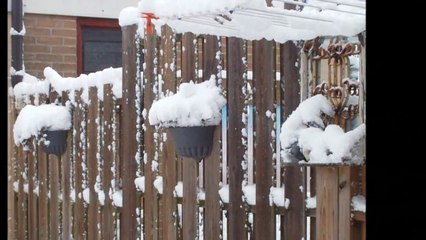 Weer winter in Wormer 2010-12-17.