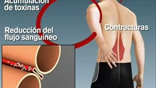 25€ Electroestimulador muscular TENS. Aparato de electroterapia, tratamiento contracturas.