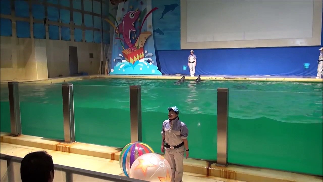 浅虫水族館 イルカショー ver. 2015.4.29