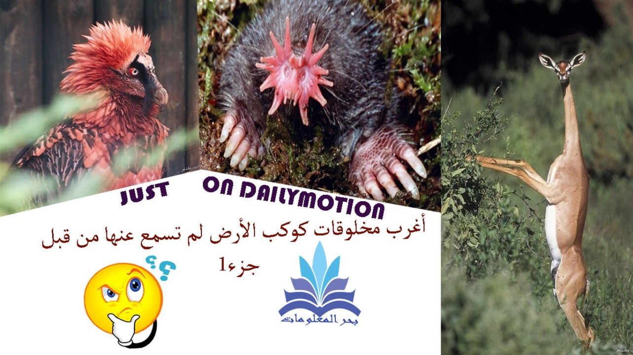 اغرب مخلوقات كوكب الارض لم تسمع عنها من قبل - جزء1