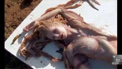 funny video - Sirena Real Grabada En Mexico