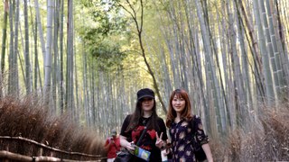 Japan Trip - Part 4 (Kobe, Kyoto - Fushimi Inari-taisha, Arashiyama, Kinkaku-ji)