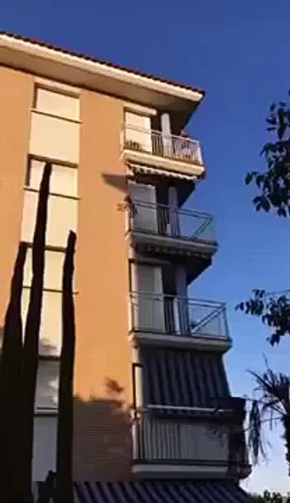 Enfermé sur le balcon depuis des heures ce chien saute du 3eme étage