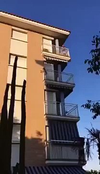 Enfermé sur le balcon depuis des heures ce chien saute du 3eme étage