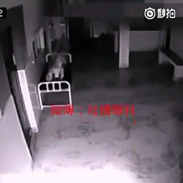 Images terrifiantes d'une femme qui décède sur un brancard dans un hopital...