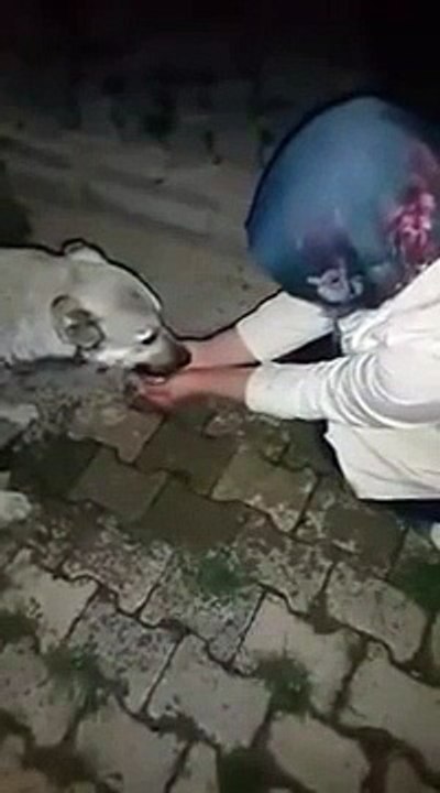 Elle fait boire un chien dans ses mains et regardez comment il la remercie