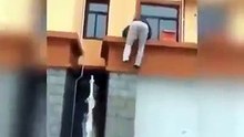 Mold very funny 2016