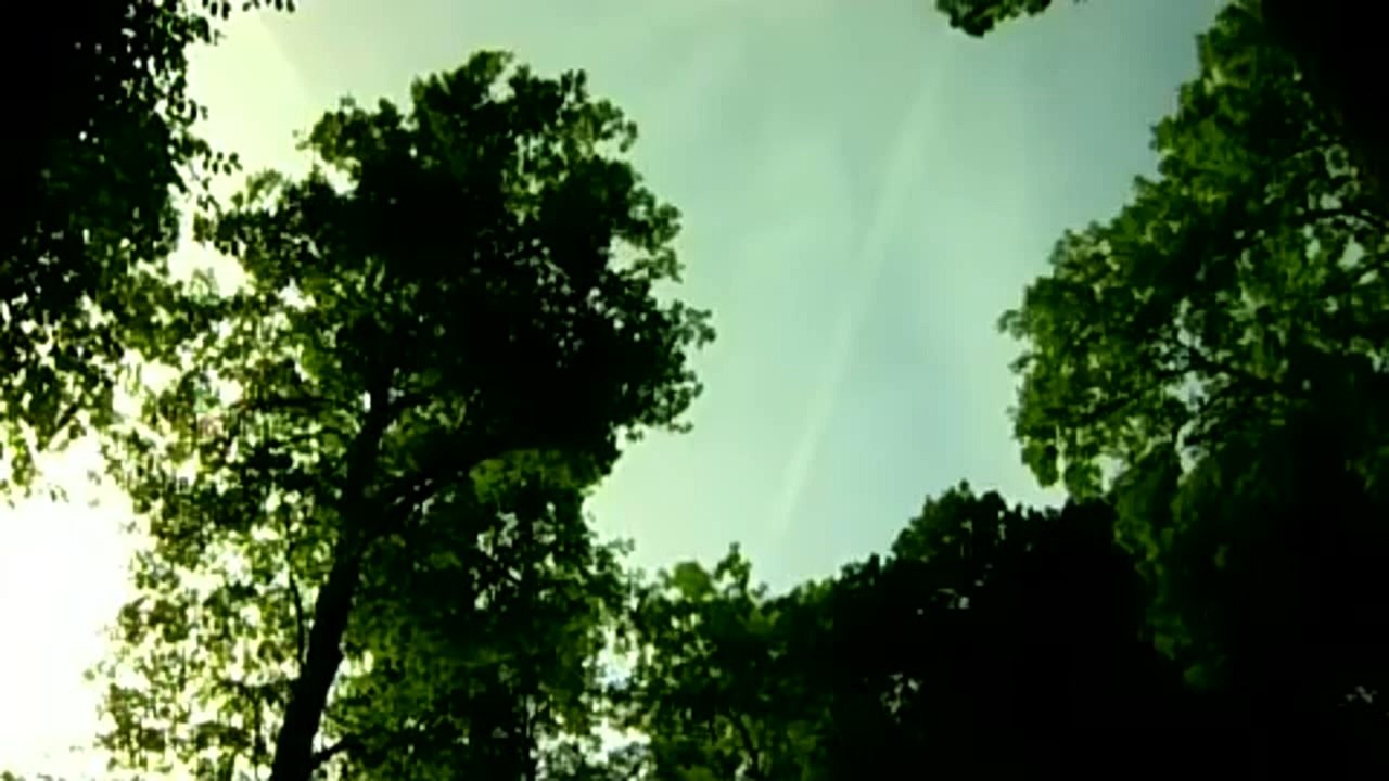 TOMB RAIDER ASCENTION