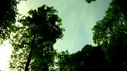 TOMB RAIDER ASCENTION