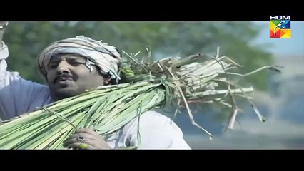 udari drama best scene hum tv