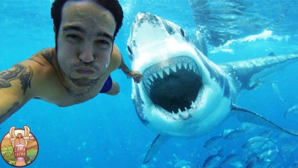 10 Selfies Pris Juste Avant La MORT !!!