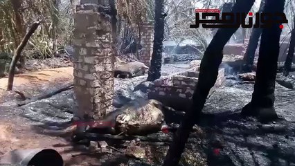 حريق هائل يلتهم 5 فدان نخيل وفاكهه ونفوق 8 رؤس ماشية بقصر الوادي الجديد