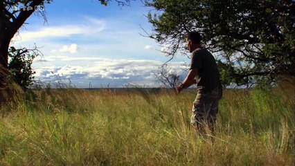 Kevin Et Les Lions e01 Le Grand Départ