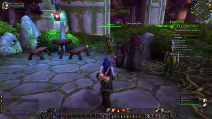 Le Gwiig  ( elfe de la nuit guerrière ) VS WoW n°4