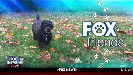 Anna Kooiman 3.19.16