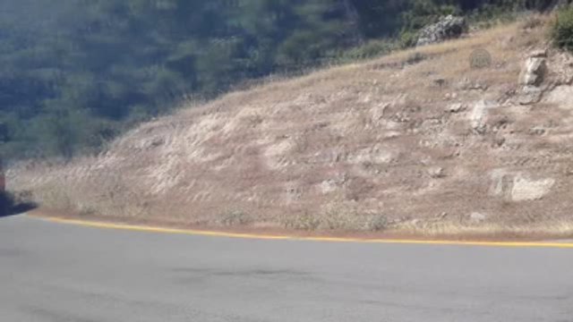 Manisa ve İzmir'de Orman Yangınları