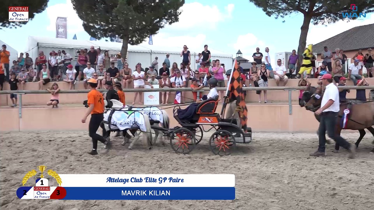 Attelage Club Elite GP Paire