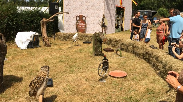 L'association animale La dame blanche a fêté ses 30 ans