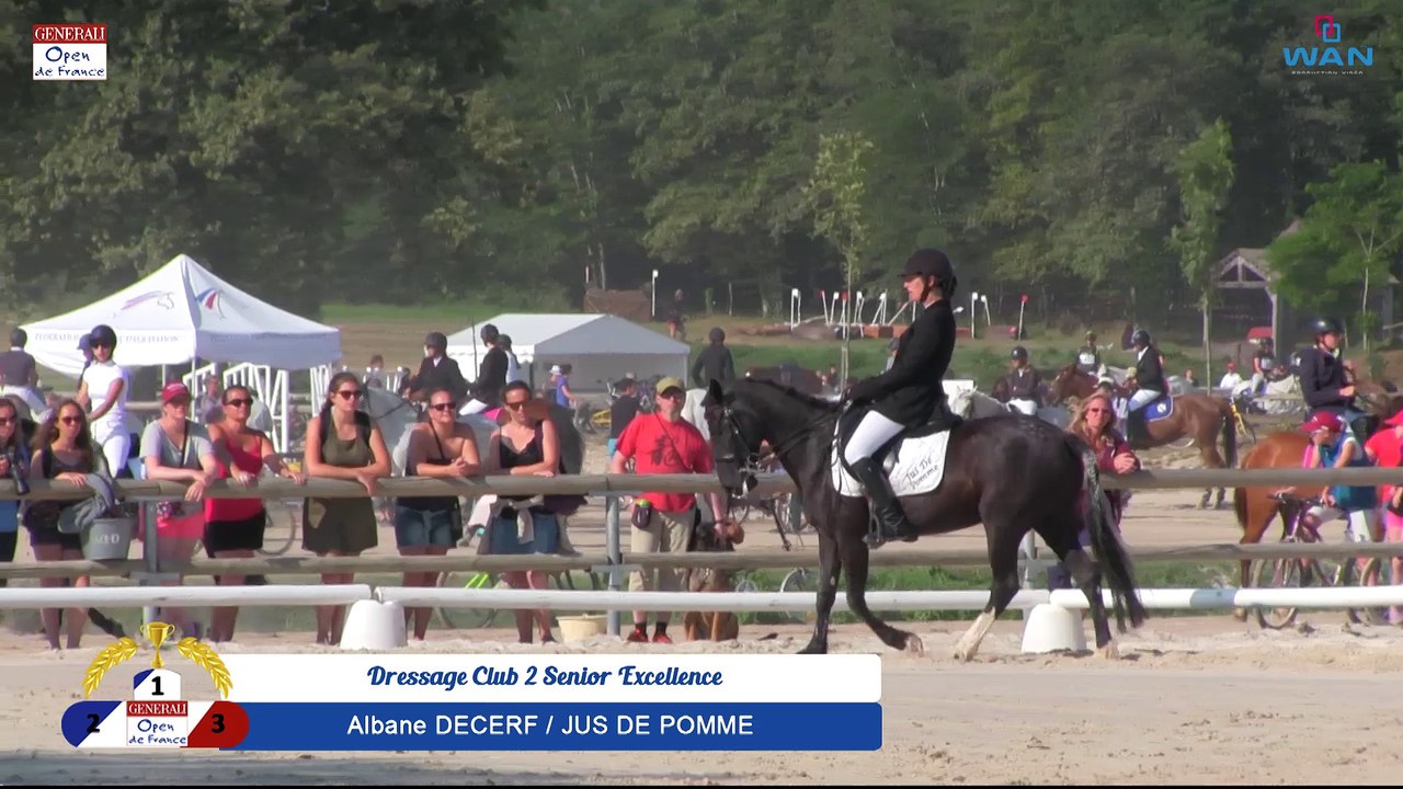 Dressage Club 2 Senior Excellence