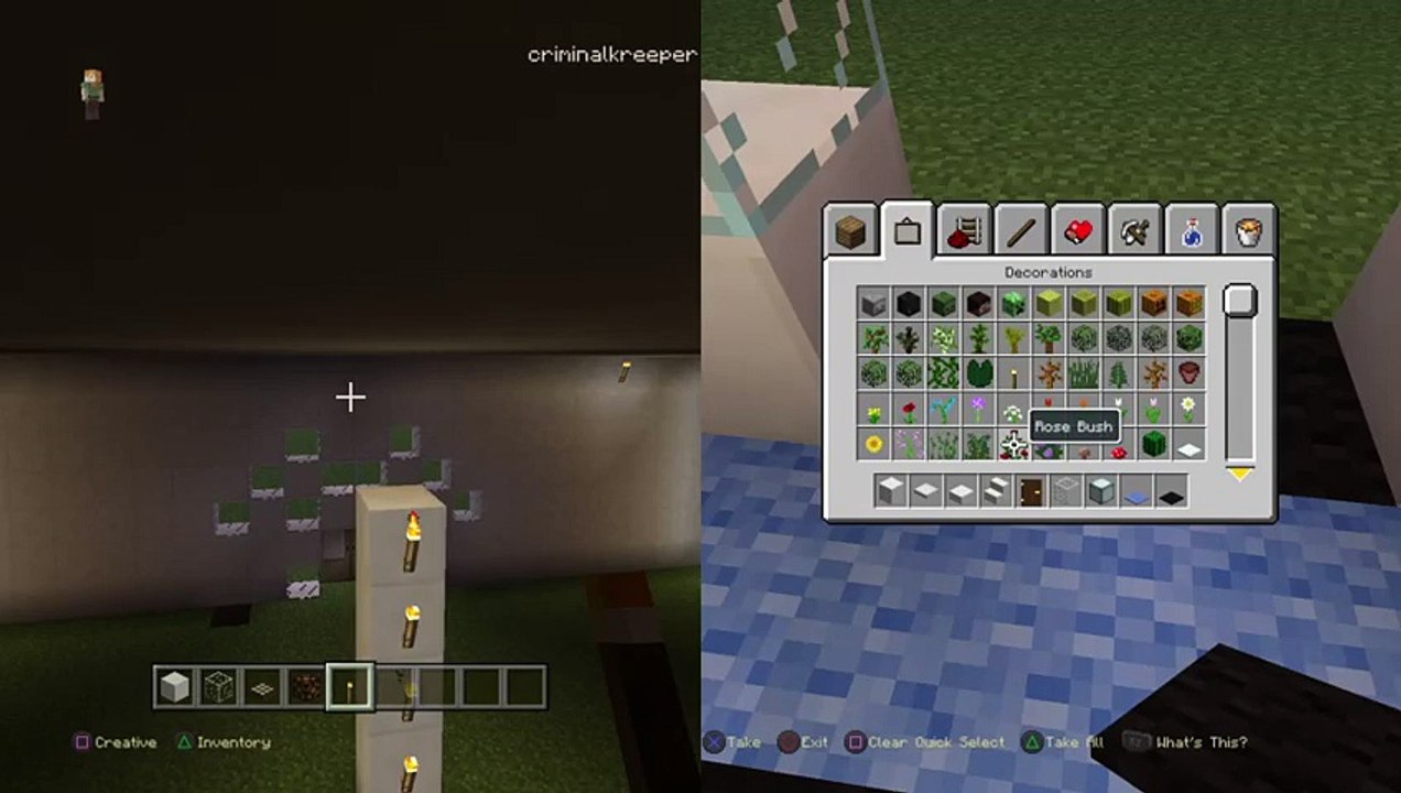 Minecraft (4)