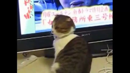 This makrs me smile.