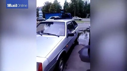 Hilarious moment dog honks car horn while waiting for owner's return