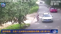 Tiger attacks and kills woman at safari park in China