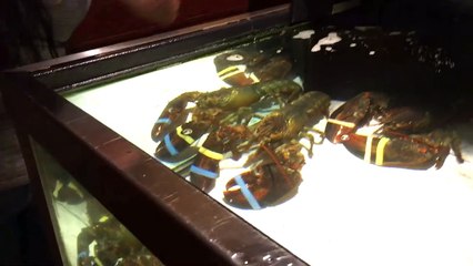 PSYCHO MOMS POKÉMON GO ADDICTION! Video