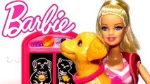 Barbie Havuz Suyu İçen Köpeğini Veterinere Götürüyor