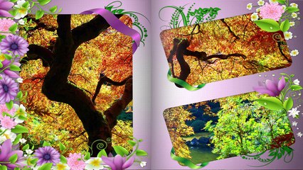 Toni Braxton - Unbreak My Heart ( Velocizzata )