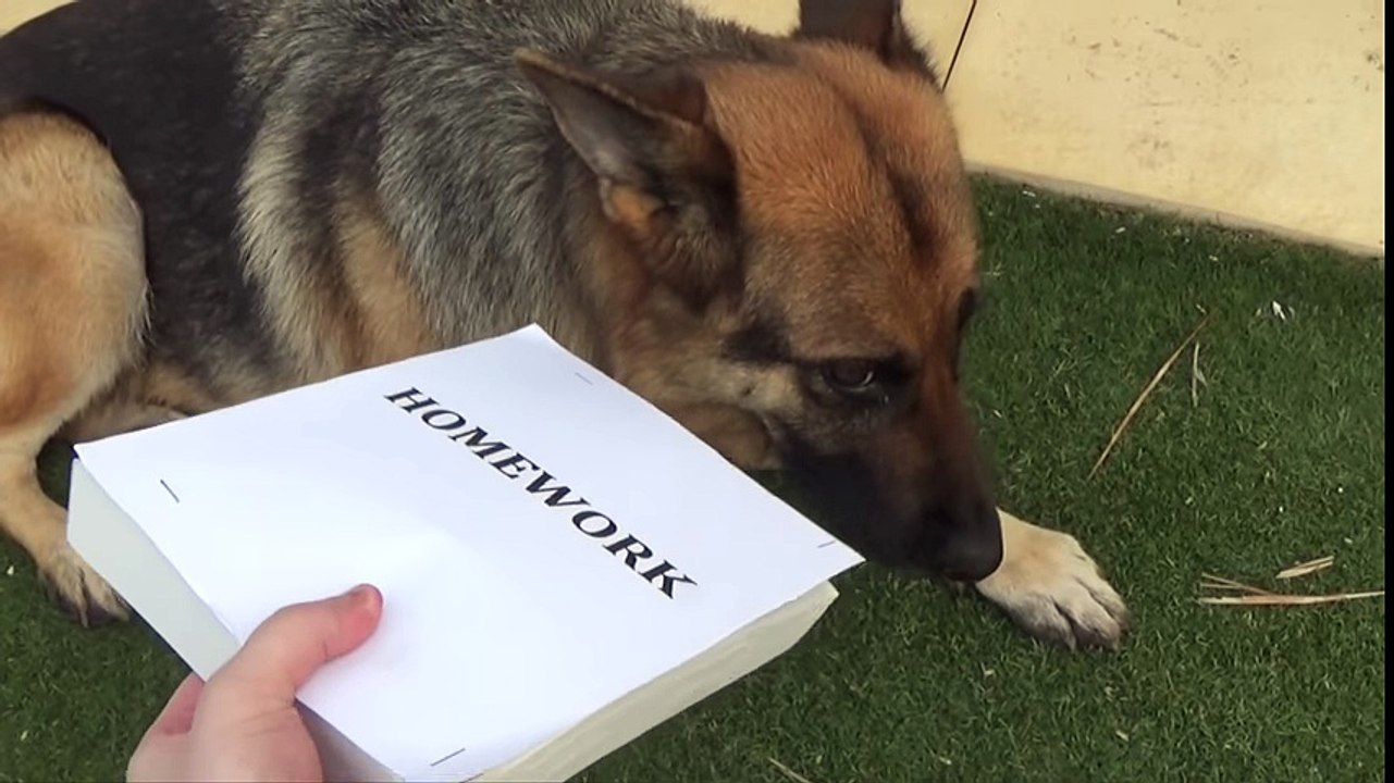 How To Do Homework